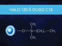 HALO OLIGO 120Å Series