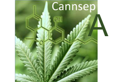 Cannsep A 100Å - 3µm