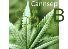 Cannsep B Series