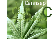 Cannsep C 100Å - 5µm