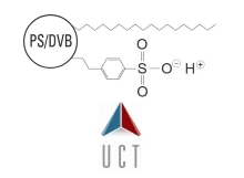 DBX (Benzenesulfonic Acid + C18)