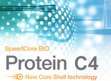 Fortis SpeedCore BIO Protein C4 300Å Series