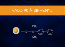 HALO Biphenyl 90Å Series