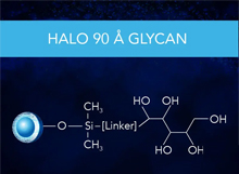 HALO Glycan 90Å Series