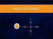 HALO HILIC 90Å Series