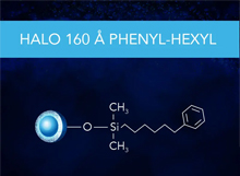 HALO Peptide Phenyl-Hexyl 160Å Series
