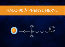 HALO Phenyl-Hexyl 90Å Series