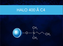 HALO Protein C4 400Å Series