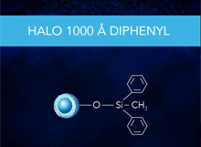 HALO Protein Diphenyl 1000Å Series