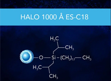 HALO Protein ES-C18 1000Å Series