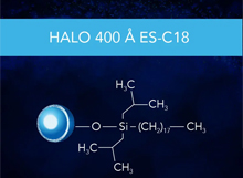 HALO Protein ES-C18 400Å Series