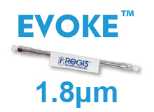 EVOKE C18 100Å - 1.8µm