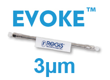 EVOKE C18 100Å - 3µm