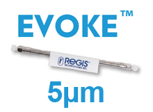 EVOKE C18 100Å - 5µm