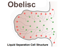 Obelisc R 100Å Series (Reversed-Phase Characteristics)