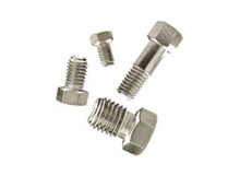 Stainless Steel Nuts