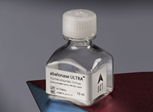 Abalonase Ultra (Beta-glucuronidase) - liquid form