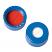 Short-Cap (blue) with Septa PTFE/Silicone w/Slit, pk.100