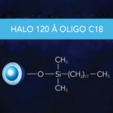 HALO OLIGO C18 120Å 2.7µm, 2.1 x 100mm, ea.