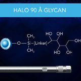 HALO Glycan 90Å 2.7µm, 10.0 x 150mm, ea.