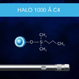 HALO Protein C4 1000Å 2.7µm, 10.0 x 150mm, ea.