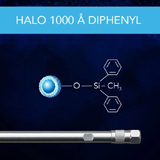HALO Protein Diphenyl 1000Å 2.7µm, 2.1 x 100mm, ea.