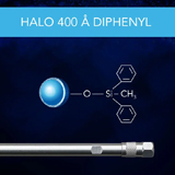 HALO Protein Diphenyl 400Å 3.4µm, 2.1 x 100mm (Surface Passivated Hardware), ea.