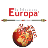 Europa Protein 300 C4 5µm, 2.1 x 30mm, ea.