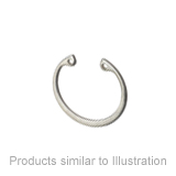 Restek Snap Rings for ASE 100/150/300/350, pk.12